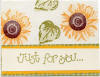sunflower card